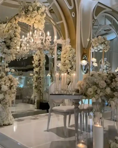 503064188_1257177226065462_6019864091111293673_n